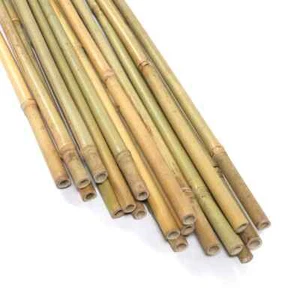 5 ft. Natural Bamboo Garden Plant Stakes Sturdy Climbing Support Gardening - Picture 1 of 7