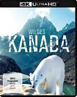 Wildes Kanada (4K Ultra-Hd) (4K Uhd Blu-Ray)