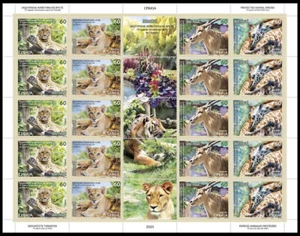 Serbia 2025, Protected animal species, Palic Zoo, lion, tiger, chamois, giraffe, - Picture 1 of 1