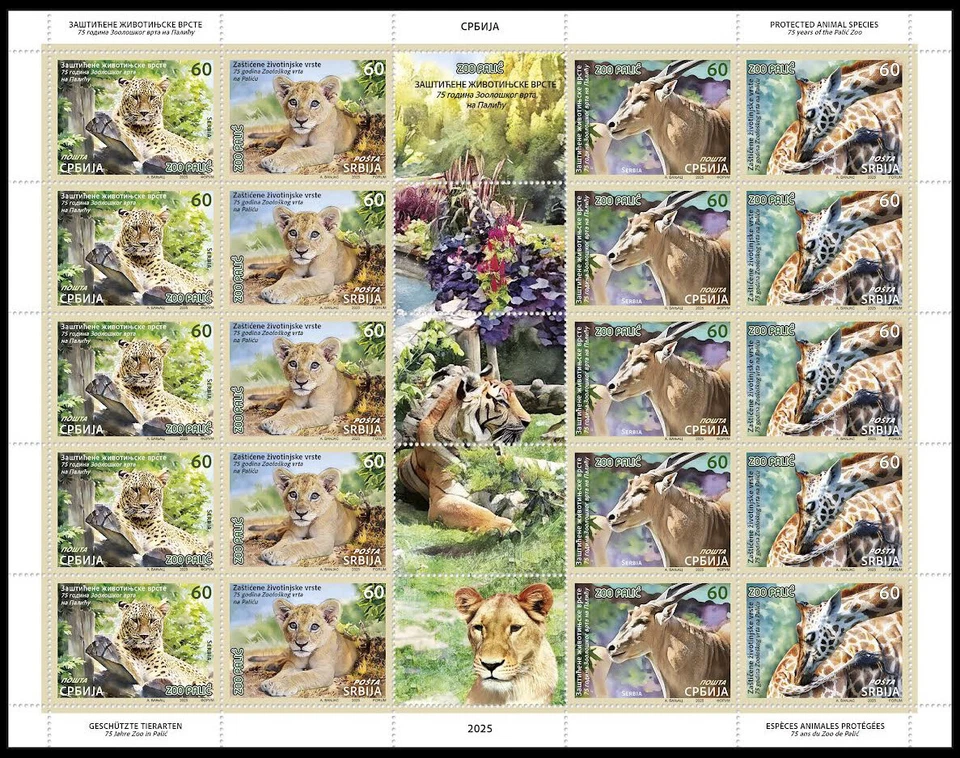 Serbia 2025, Protected animal species, Palic Zoo, lion, tiger, chamois, giraffe, - Image 1 of 1