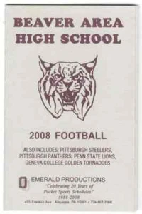 2008 Pittsburgh Steelers NFL & College Football Spielplan!!! Smaragd Prod. (1) - Bild 1 von 1