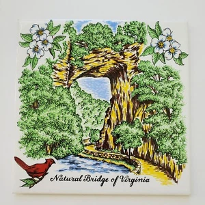 Vintage Tile Forest Natural brigde of Virginia White Decorative Ceramic 6x6" - Picture 1 of 6