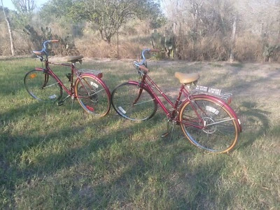 Vintage Free Spirit Sears Roebuck "Britanny" Classic City Bike Circa 1980 - Image 1 of 4
