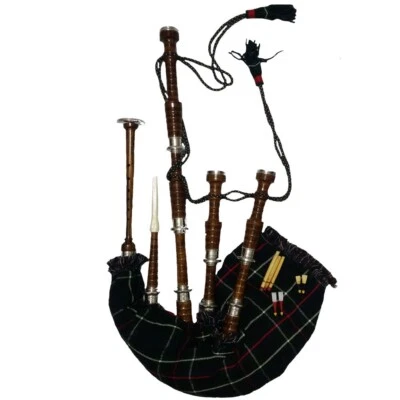 Esperto Cornamusa Scozzese Delle Highland Argento Supporti Con Mackenzie Ance - Immagine 1 di 2