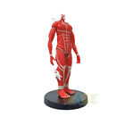 Anime Attack On Titan Figure Model Ornament Gift 18Cm New Toy No Box