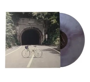 The Backseat Lovers - When We Were Friends - Galaxy Colored Vinyl LP *SEALED* - Imagen 1 de 5