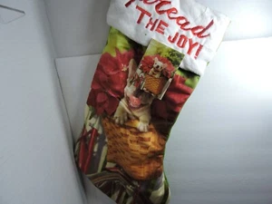 Avanti French Bulldog puppy spread the Joy christmas stocking has tags - Picture 1 of 5