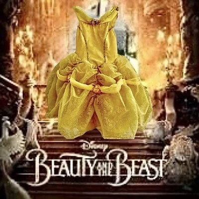 Disney World Belle Costune Niño Talla 4-5 Foto 1 de 4