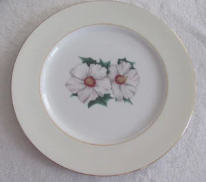 Narumi Japón NAR9 - Flores Blancas - 10 Platos de Cena 3/4" - Juego de 6 - Imagen 1 de 6