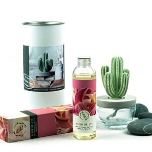 Pretty Valley Home Cactus Ceramic Diffuser Combo (Fleur De Lys) Scent 200ml - Picture 1 of 5