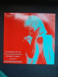 Robert Plant - Burning Down One Side (VINYL) - Picture 1 of 6