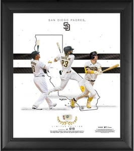 Padres FRMD 15x17 Franchise Foundations Collage mit einem Stück GU Baseball - LE/619 - Bild 1 von 1