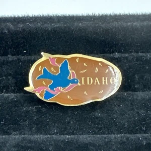 Sombrero de viaje con solapa alfiler cinta metálica de recuerdo azul patata de Idaho Russet - Imagen 1 de 3