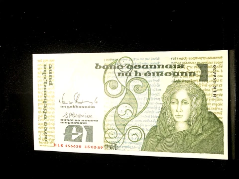Ireland 1989 1 pound banknote P-70D Unc Cover