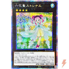 Rikka Queen Strenna - Prismatic Secret Rare ROTD-JP046 - YuGiOh Japanese