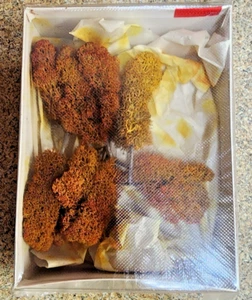 Vintage Con-cor Spur N & HO. 6 Bäume mit Herbst / Herbstflechten. NOS - Bild 1 von 4