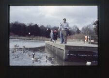 35mm Amateur Slide Vintage Feeding Ducks Man Children