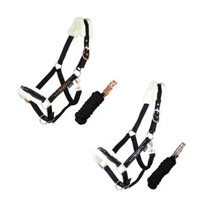 Halfter-Set mit Führstrick ELEGANT Marengos schwarz roségold silber Pony VB WB - Bild 1 von 18