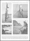 1930 Vintage Print FISHING Shark Oil Shagreen Medical (ISDN-A/J-217)