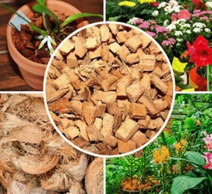 Coconut Husk Dry Chips Natural 100% Dry Organic Orchid Media Growing ceylon 1kg - Picture 1 of 4
