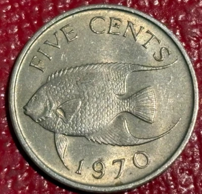 HIGH GRADE XF/AU 1970 BERMUDA 5 CENTS ANFELFISH COIN-JUN111 - Image 1 of 2