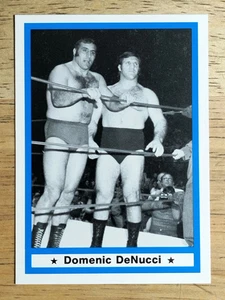 1991 Imagine Wrestling Legends #17 Domenic DeNucci - Picture 1 of 2