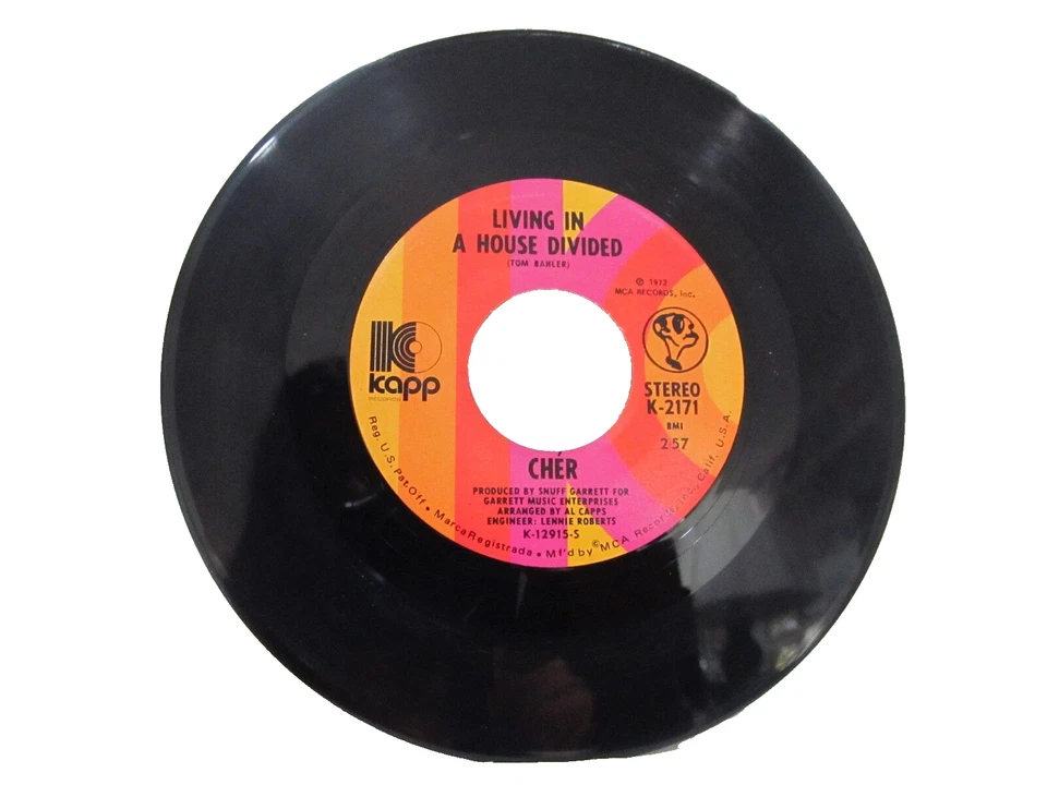 45 RECORD - CHER - LIVING IN A HOUSE DIVIDED Foto 1 de 1