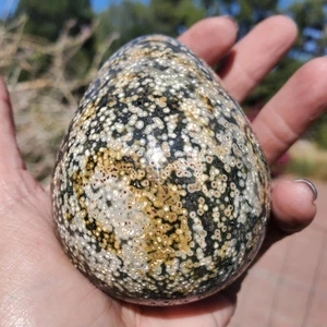 Orbicular Ocean Jasper Egg Kambaby Old Stock | A Grade | 278 grams - Picture 1 of 9