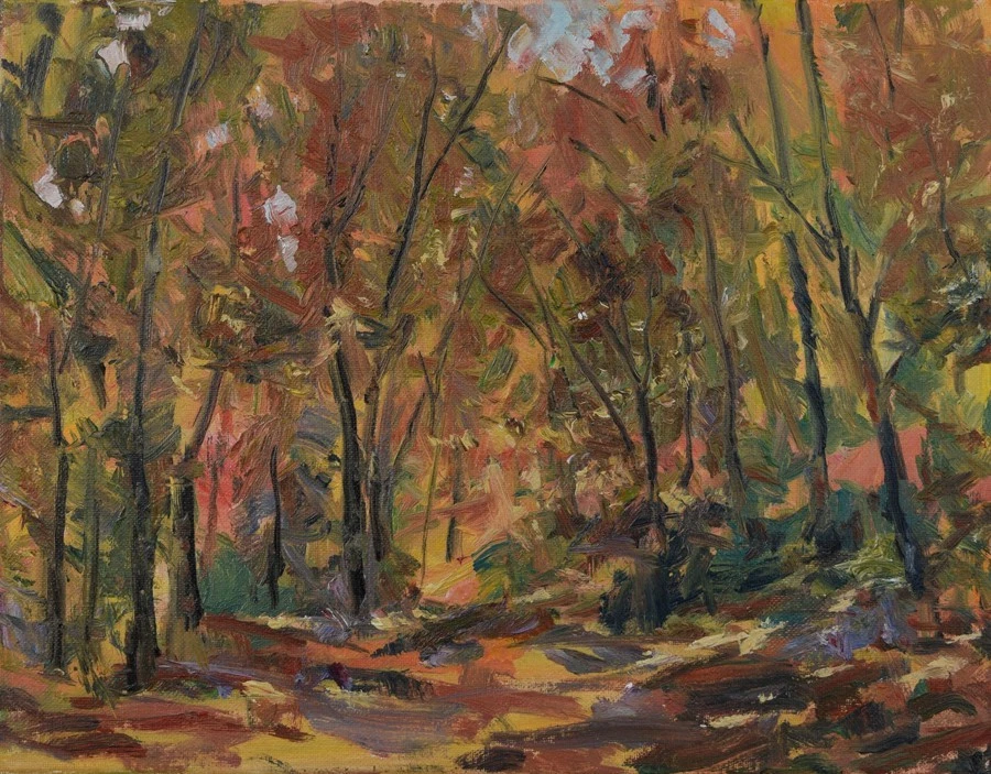 Arte Original Pintura al Óleo por RM Mortensen "Vigas de Sol" Bosque Trail Árboles 11x14 Foto 1 de 1