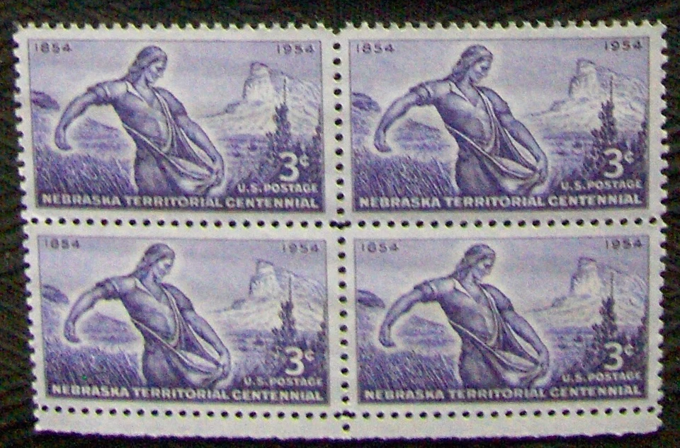 US 3¢ Stamp SC #1060 Nebraska Territorial Centennial block of 4 MNH 1954. - Image 1 of 1