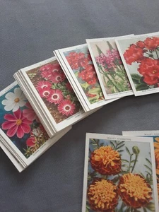 Wills - Garden Flowers New Varieties 2nd Series L40 - Very good Condition - Picture 1 of 5