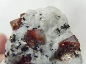 311 Karat viele Zirkon Kristall Mineral Präparat N Matrix Mutter Bergheiler 53192 - Bild 1 von 11