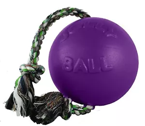 Jolly Pets Romp-n-Roll 6 inch Purple Rubber Ball with Rope for Dogs - Picture 1 of 7