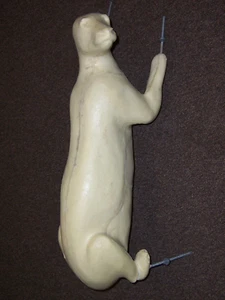 BEAR ..LIFE SIZE TAXIDERMY FORM...BR-36 - Picture 1 of 6