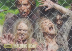 The Walking Dead Season 4 ( Sticker)  #S5 of 24 - Picture 1 of 1