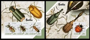 Sierra Leone 2024 Beetles. (268) - Picture 1 of 1