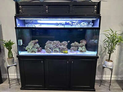 pecera en venta Foto 1 de 3