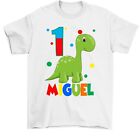 Dinosaur Shirt - Dinosaur Birthday Shirt - Dinosaur Party Supplies