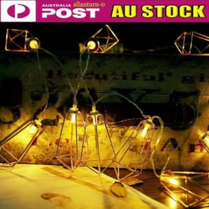 Rose Gold LED Industrial Geometric Cage String Fairy Lights Party Lamps 1.5-6M - Picture 1 of 8