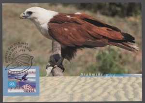 Australia BIRD of PREY Brahminy Kite 1999 Maxi Card - Picture 1 of 1
