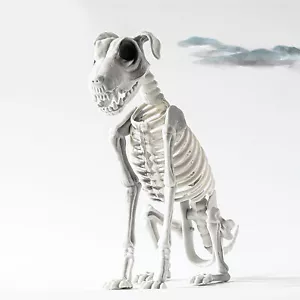 Halloween Skeleton Dog Prop Horror Animal Bones Halloween Party Decorations - Foto 1 di 5