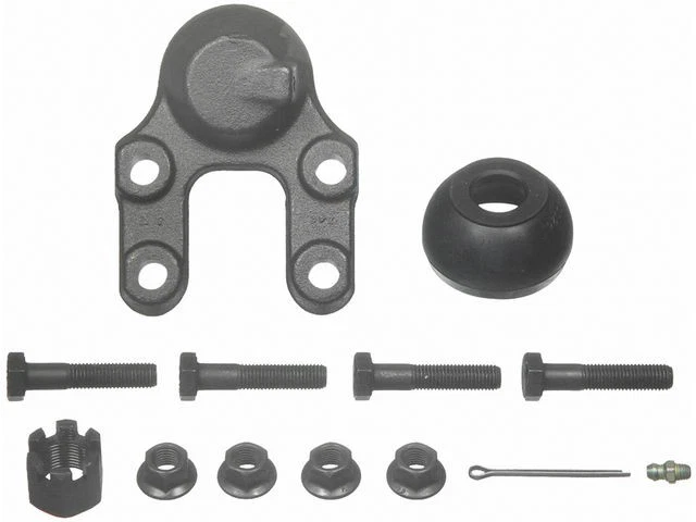 Rótula inferior delantera Moog 67FX86Y para camioneta Nissan 1995-1997 4x4 Foto 1 de 1