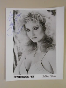 Signed Black and White Photo DiVina Celeste Penthouse Pet 1980s - Picture 1 of 2