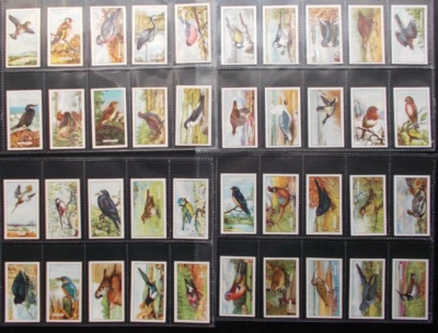 GALLAHER  CIGARETTE CARDS   BRITISH BIRDS SET OF 48 - Image 1 of 3