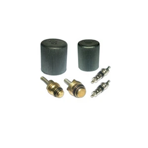Kit de núcleo y tapa del sistema de aire acondicionado Santech Industries MT2905 - Imagen 1 de 1