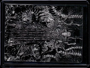 Nissa, Ascended Animist - 74 - ONE - Art Card - NM - MTG - Picture 1 of 1