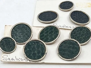 Dark Green Real SNAKESKIN BUTTONS 7 Lg (7/8") & 2 Small (5/8") Goldtone Trim-Vtg - Picture 1 of 13