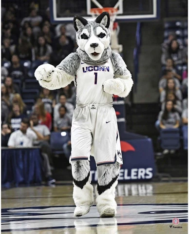 UConn Huskies Unsigned Jonathan the Husky Dancing 16" x 20" Photo - Fanatics Cover