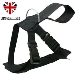 NEW DOG PUPPY SAFETY HARNESS PADDED ADJUSTABLE TRAINING LEAD S M L UK SELLER - Picture 1 of 1