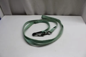 Casual Canine Dog Green Nylon Leash, Swivel Clip, 5/8" 1" wide 6 foot Lead,Hook - Picture 1 of 4